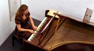 muzieklessen muziekles klavecimbelles piano lessen